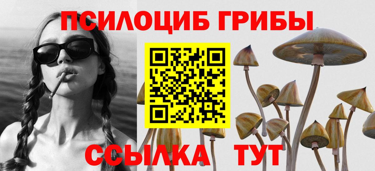 Красноуфимск  Галлюциногенные грибы Cubensis  Вход с VPN 